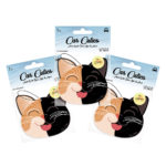 Citrus Car Air Freshener